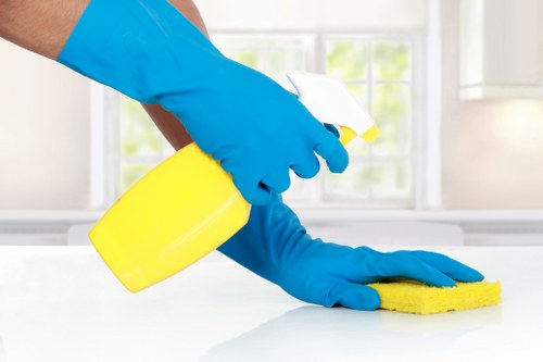 Transparent carpet cleaning estimate for W10 properties