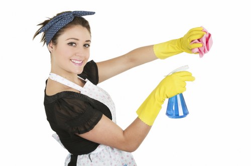 Kitchen and bathroom deep cleaning details in a West London property