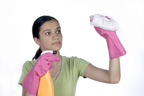 Local pet stain odour removal work in a West London flat