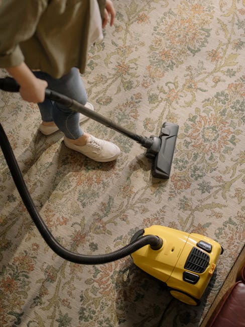 Get a W10 same-day carpet clean: availability & cost